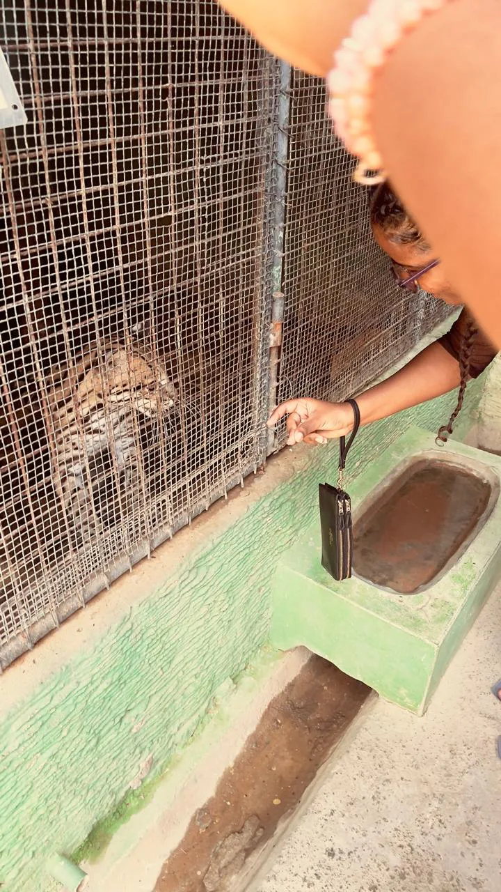 Photograph 13 from Gift for Life Foundation hosts Annual Day Mother’s Day Event at Emperor Valley Zoo