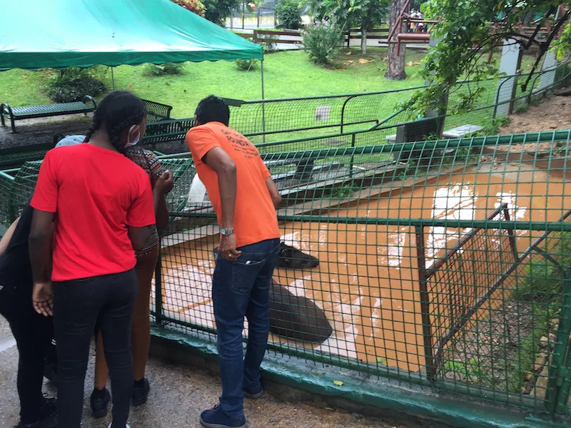 Photograph 17 from Gift For Life Makes Visits to the National Emperor Valley Zoo