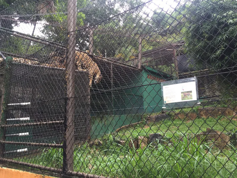 Photograph 20 from Gift For Life Makes Visits to the National Emperor Valley Zoo