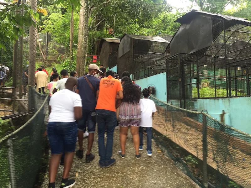 Photograph 7 from Gift For Life Makes Visits to the National Emperor Valley Zoo