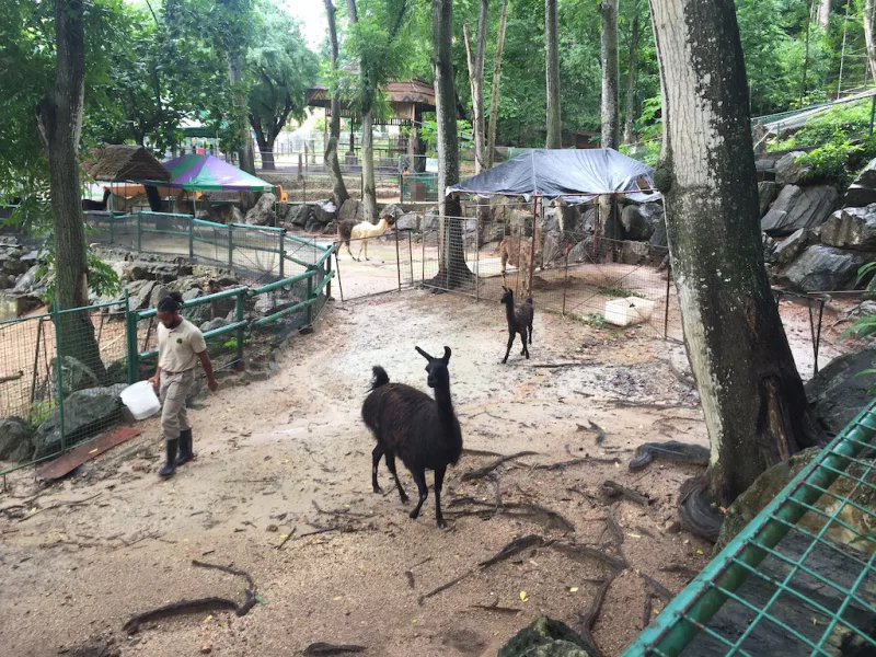 Photograph 28 from Gift For Life Makes Visits to the National Emperor Valley Zoo