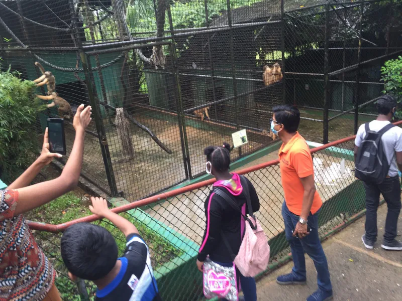 Photograph 32 from Gift For Life Makes Visits to the National Emperor Valley Zoo