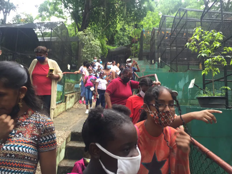 Photograph 33 from Gift For Life Makes Visits to the National Emperor Valley Zoo