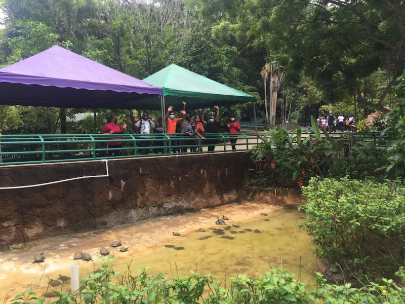 Photograph 37 from Gift For Life Makes Visits to the National Emperor Valley Zoo