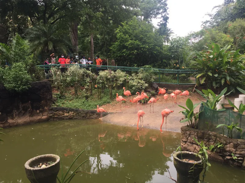Photograph 38 from Gift For Life Makes Visits to the National Emperor Valley Zoo