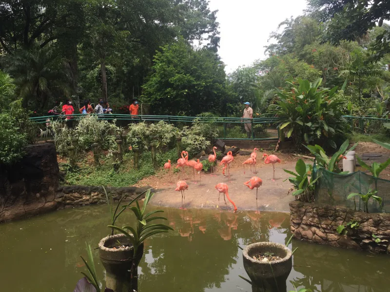 Photograph 39 from Gift For Life Makes Visits to the National Emperor Valley Zoo