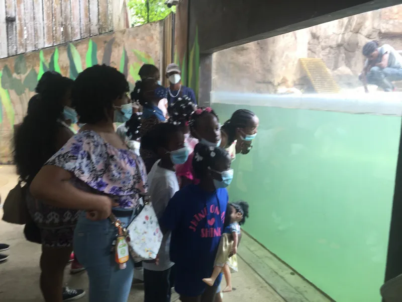 Photograph 42 from Gift For Life Makes Visits to the National Emperor Valley Zoo