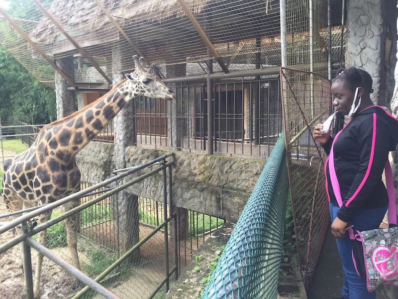 Photograph 12 from Gift For Life Makes Visits to the National Emperor Valley Zoo