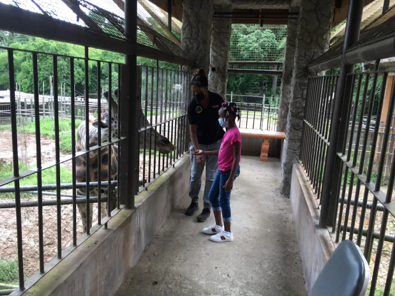 Photograph 73 from Gift For Life Makes Visits to the National Emperor Valley Zoo